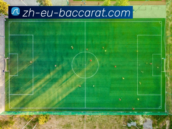 百家乐官网APP 体育赛事宣传图