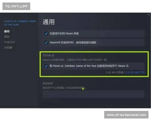 系统重装后Steam游戏存档是否丢失 如何确保游戏存档安全